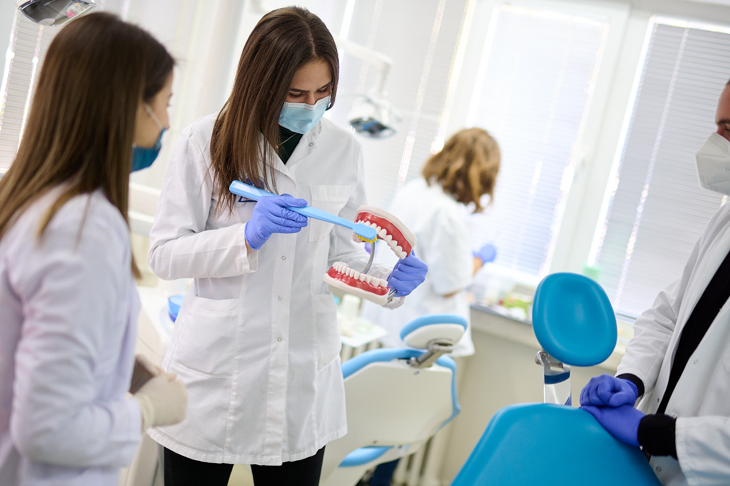 Univerzitet Crne Gore