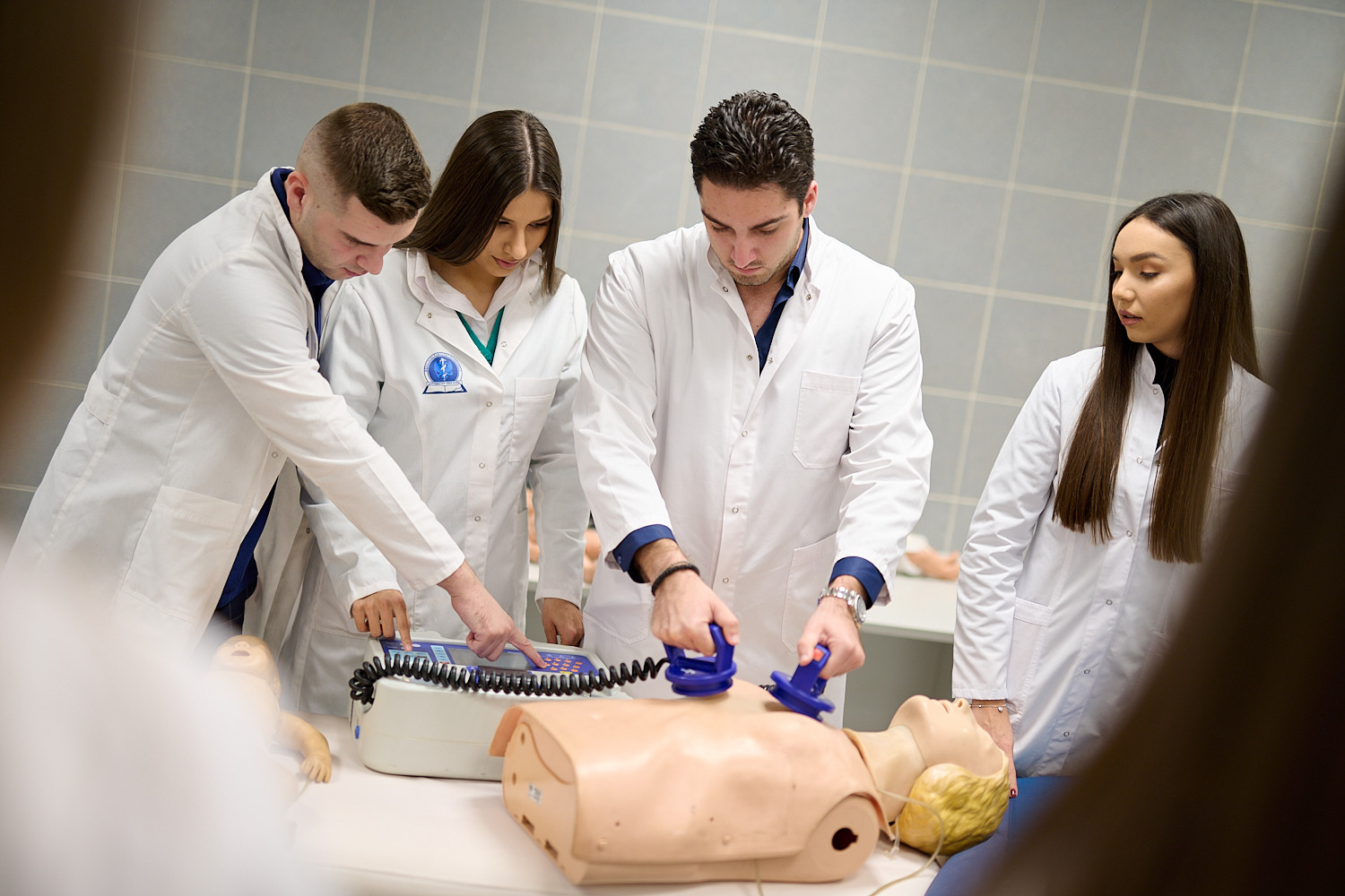 Univerzitet Crne Gore