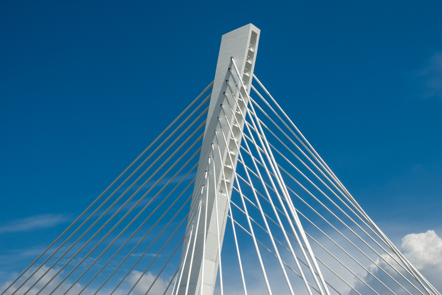 Univerzitet Crne Gore