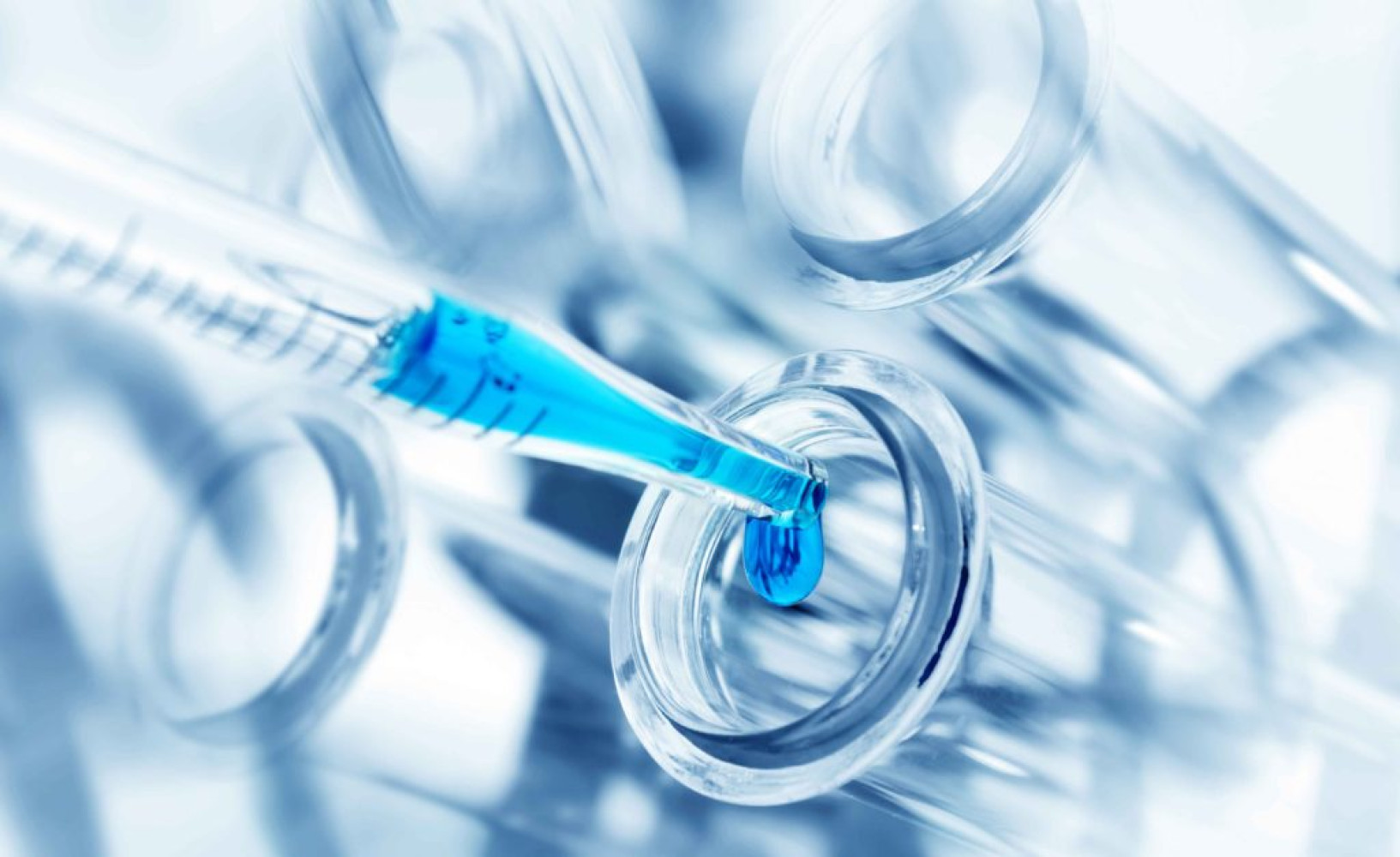 Kvalitet u funkciji zaposlivosti i razvoja karijere