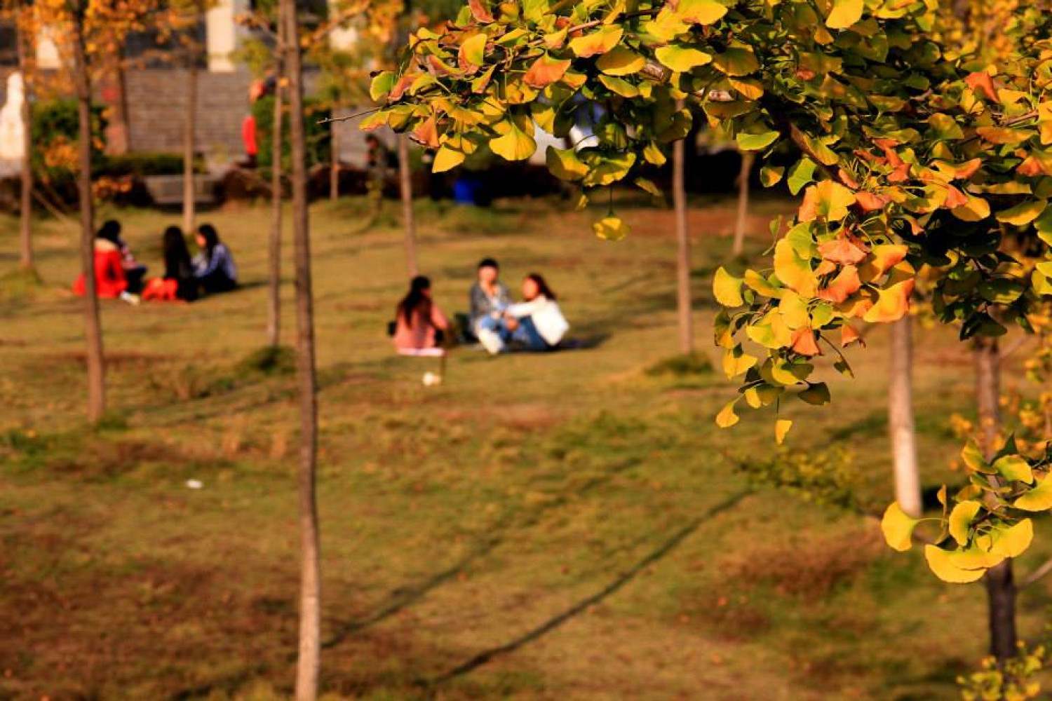 Stipendije
 
 
 
 
 
 
 saznaj više...