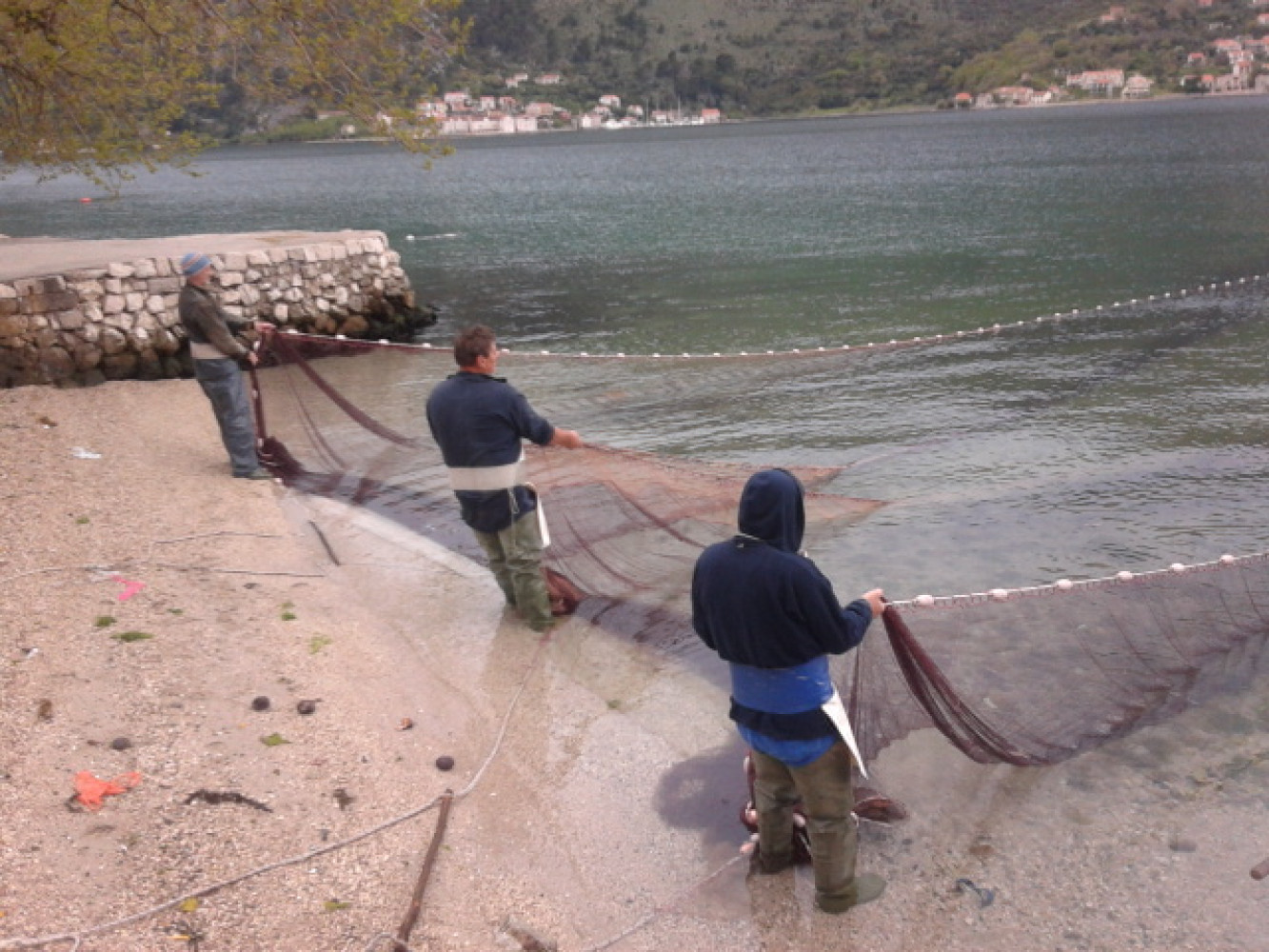 Univerzitet Crne Gore