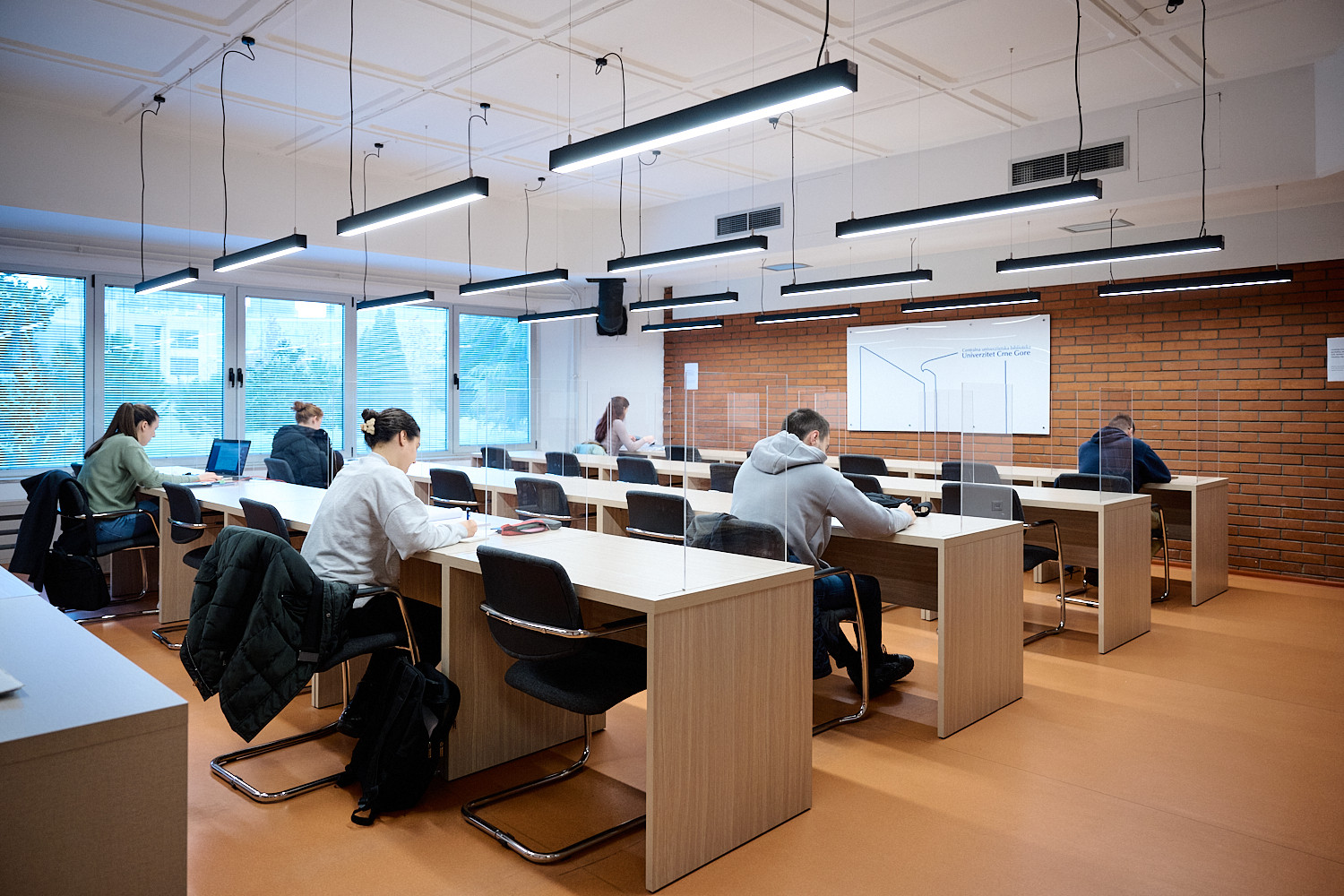 Univerzitet Crne Gore