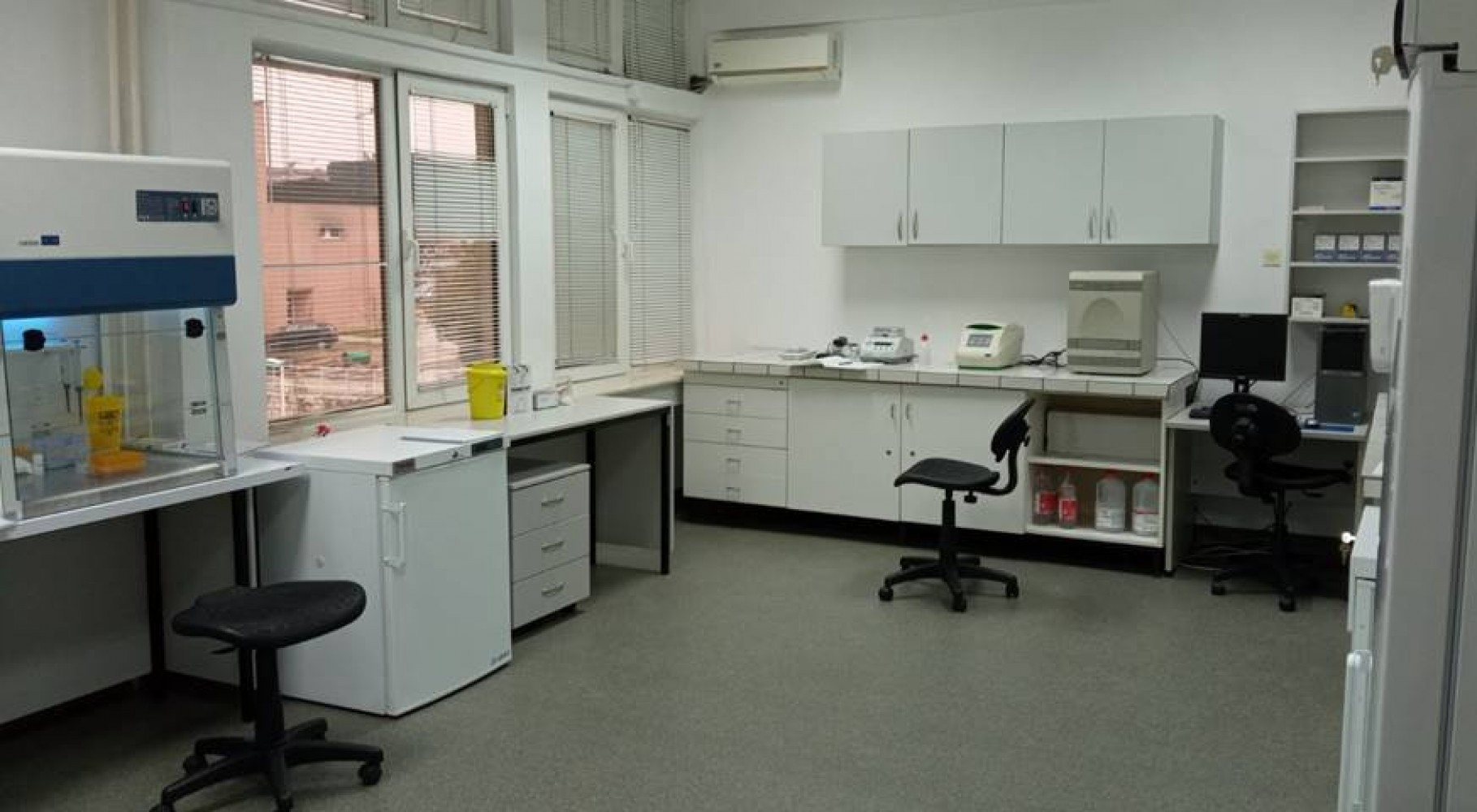 Univerzitet Crne Gore