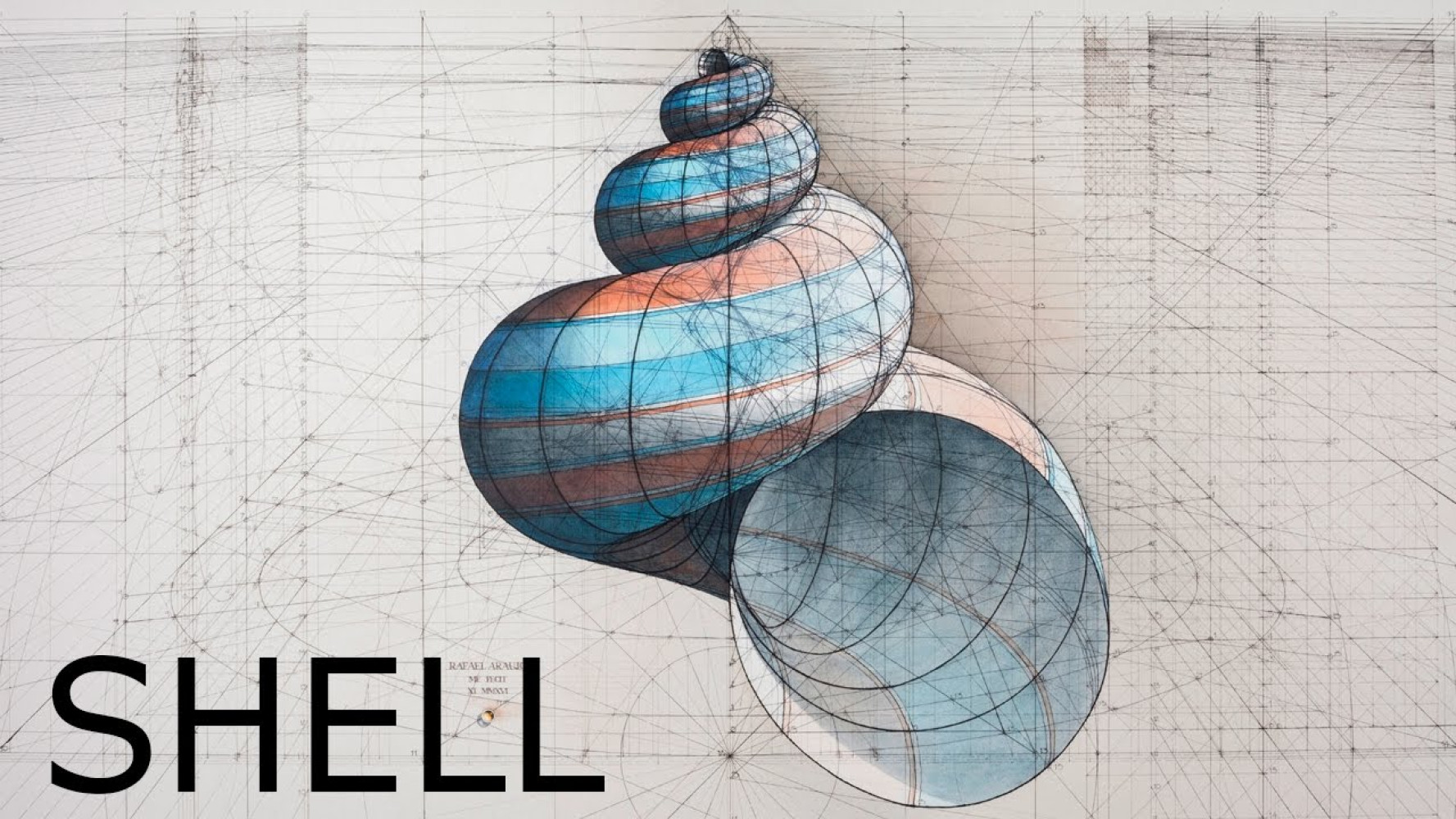 Univerzitet Crne Gore