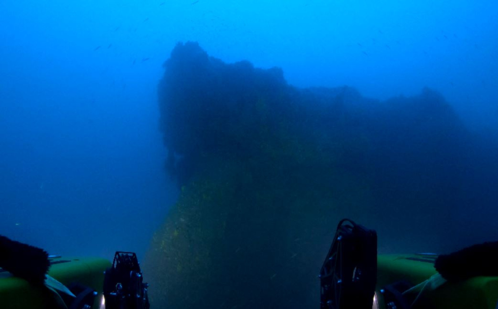 Univerzitet Crne Gore