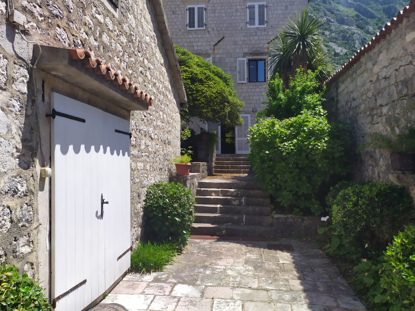 Univerzitet Crne Gore