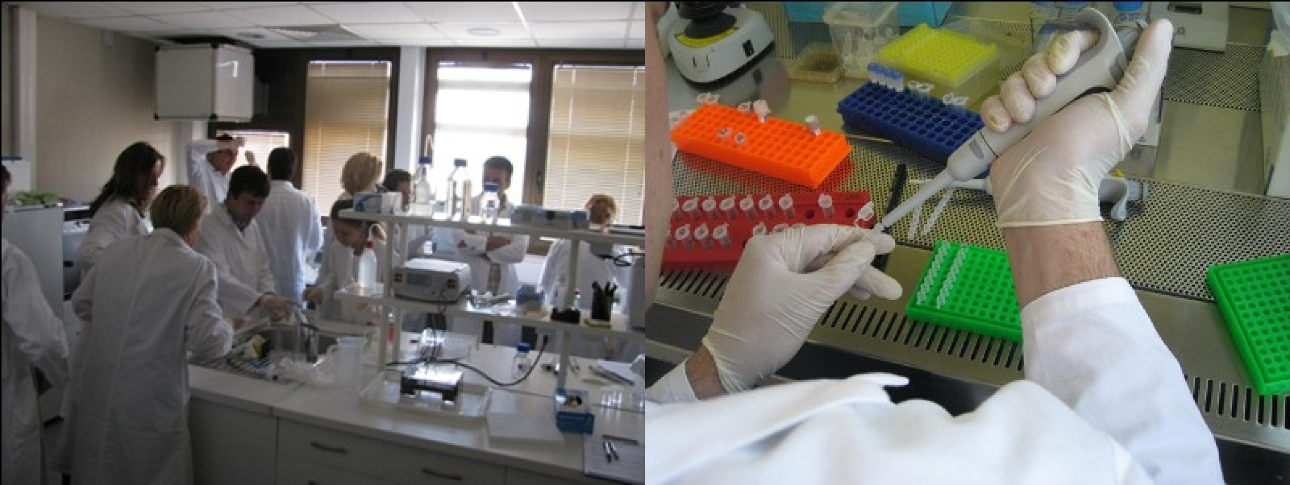 Univerzitet Crne Gore