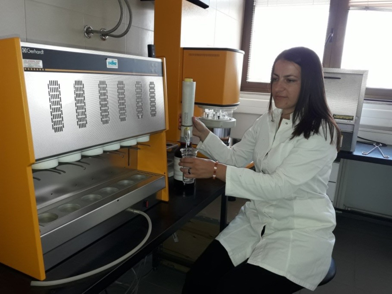 Univerzitet Crne Gore