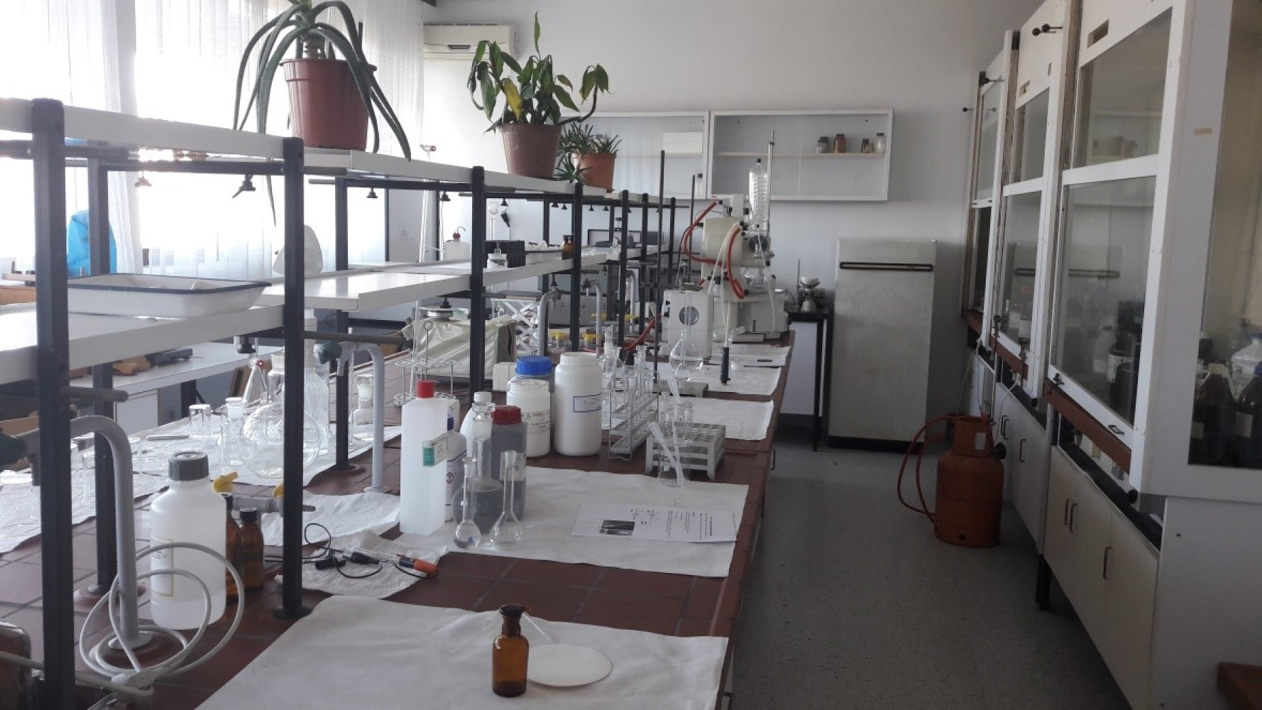 Univerzitet Crne Gore