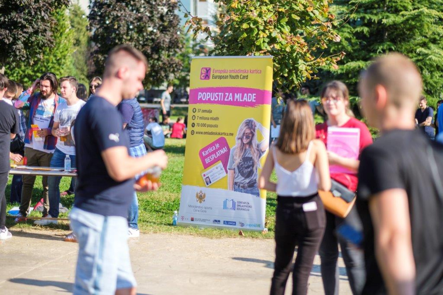 Univerzitet Crne Gore