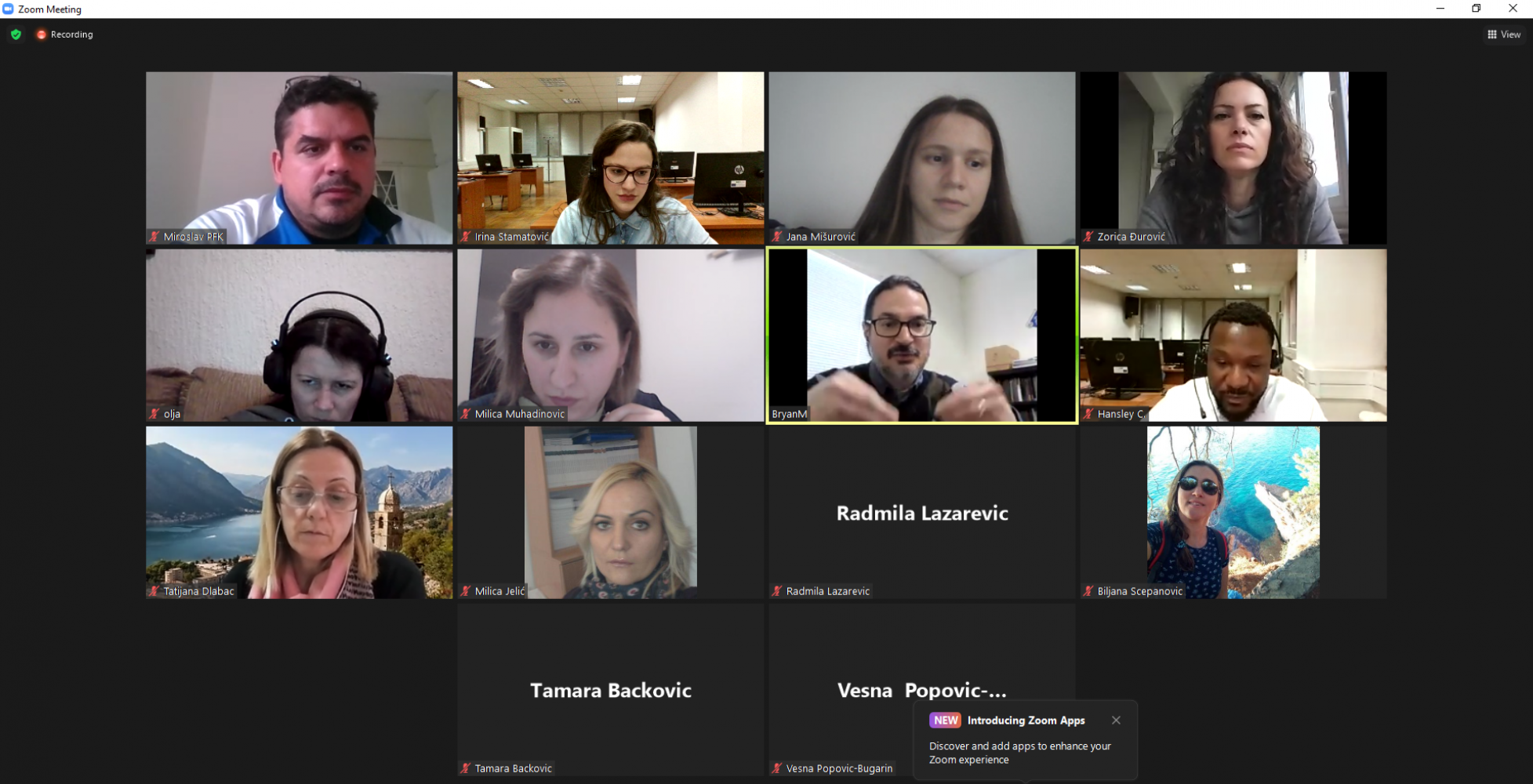 Univerzitet Crne Gore