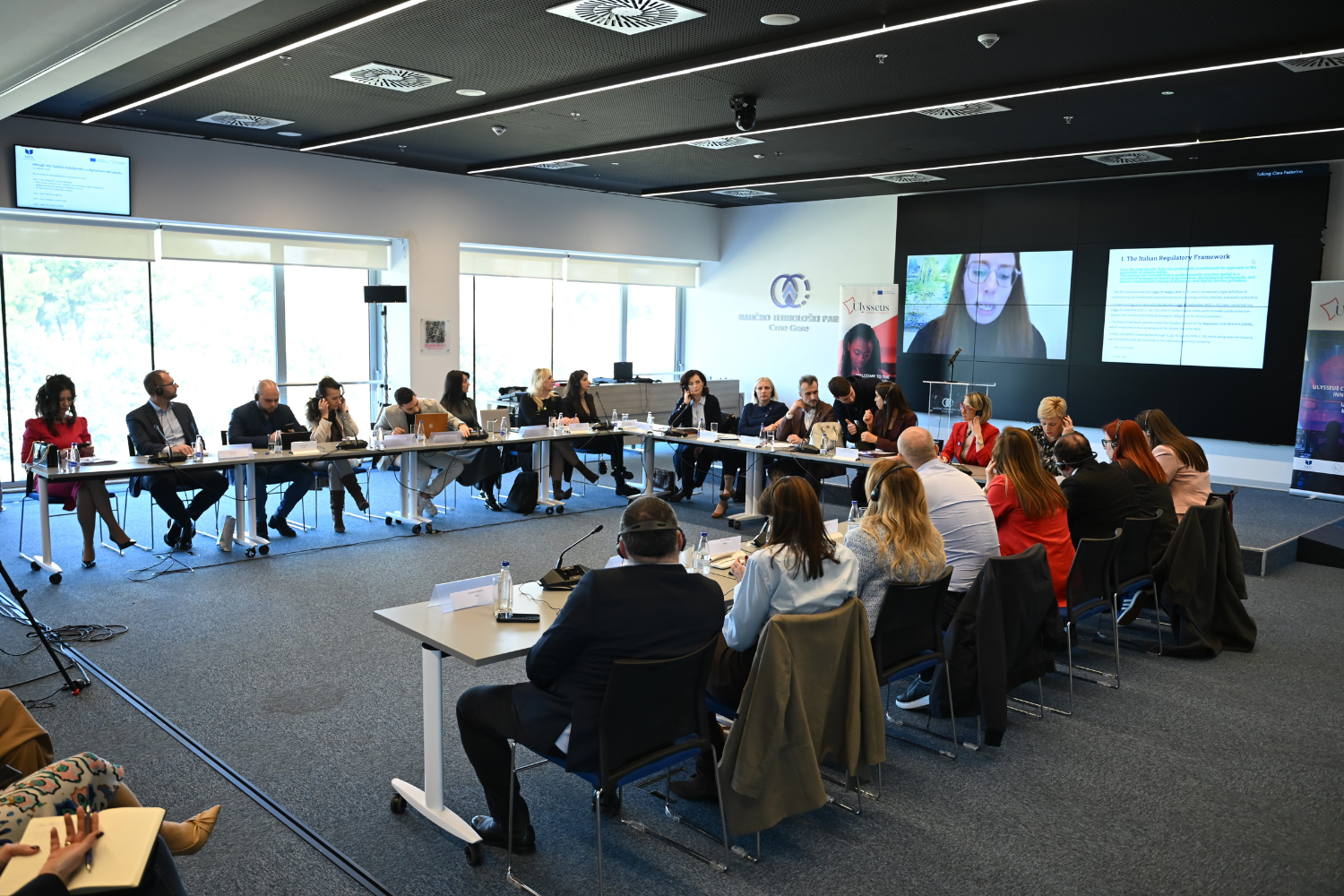 Univerzitet Crne Gore