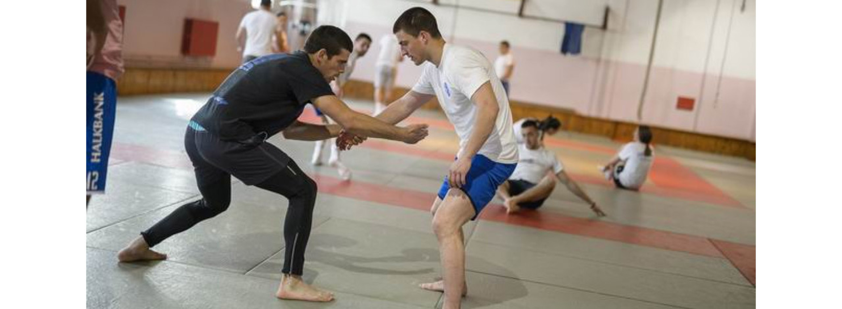 Univerzitet Crne Gore