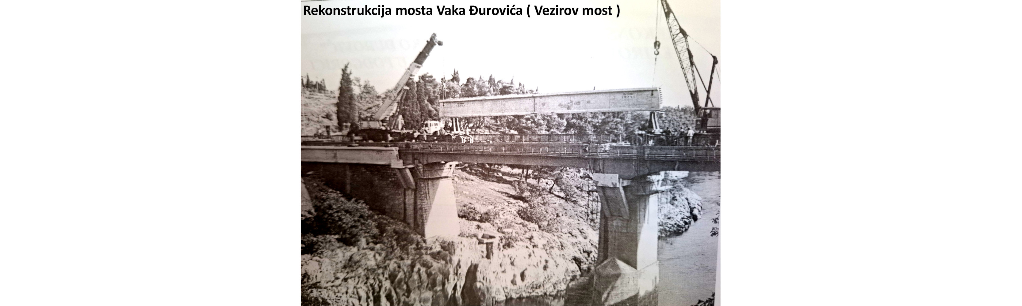 Univerzitet Crne Gore