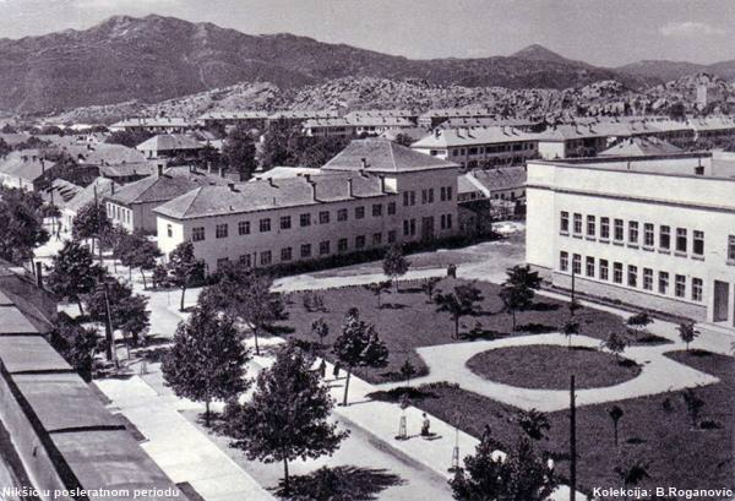 Univerzitet Crne Gore