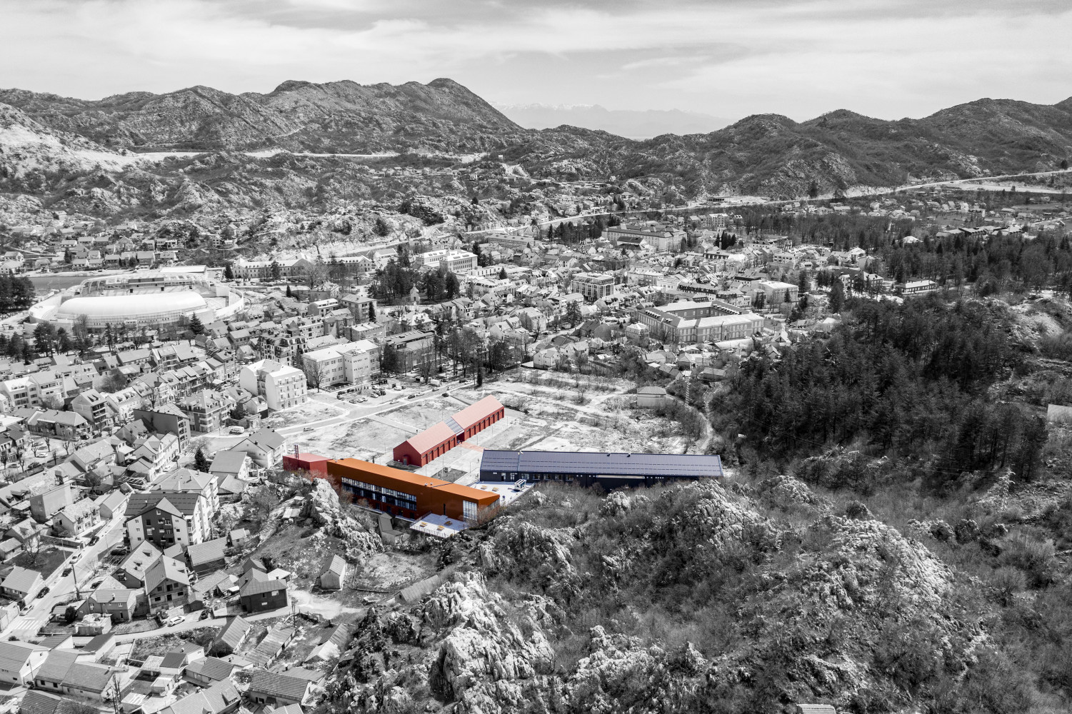 Univerzitet Crne Gore