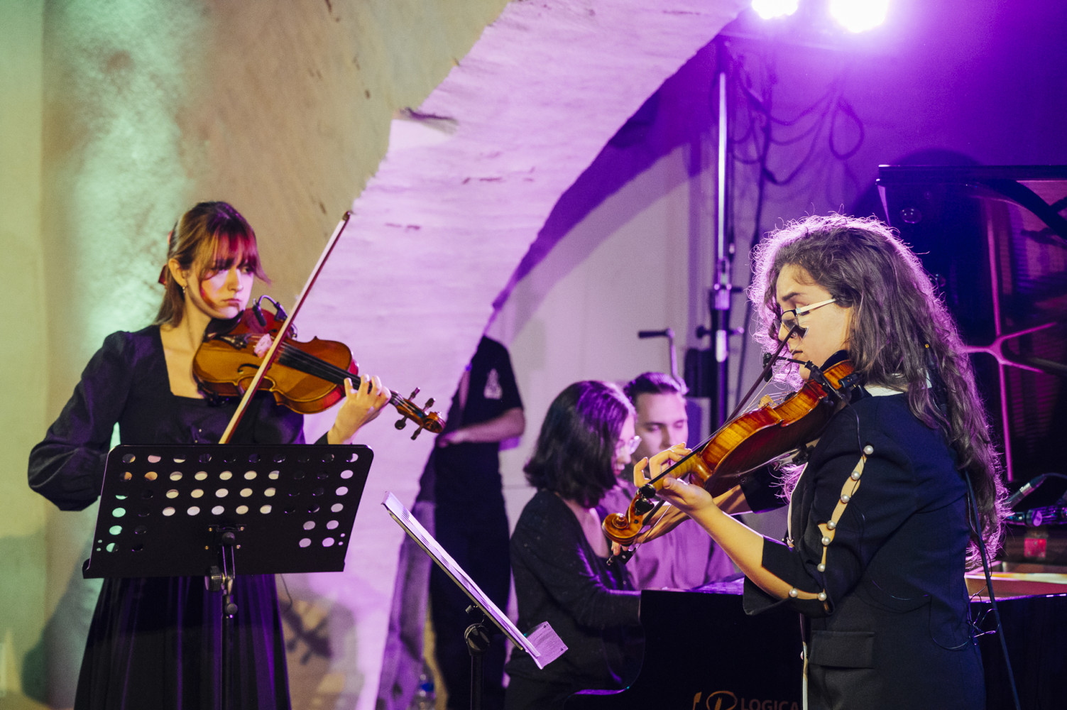 Univerzitet Crne Gore