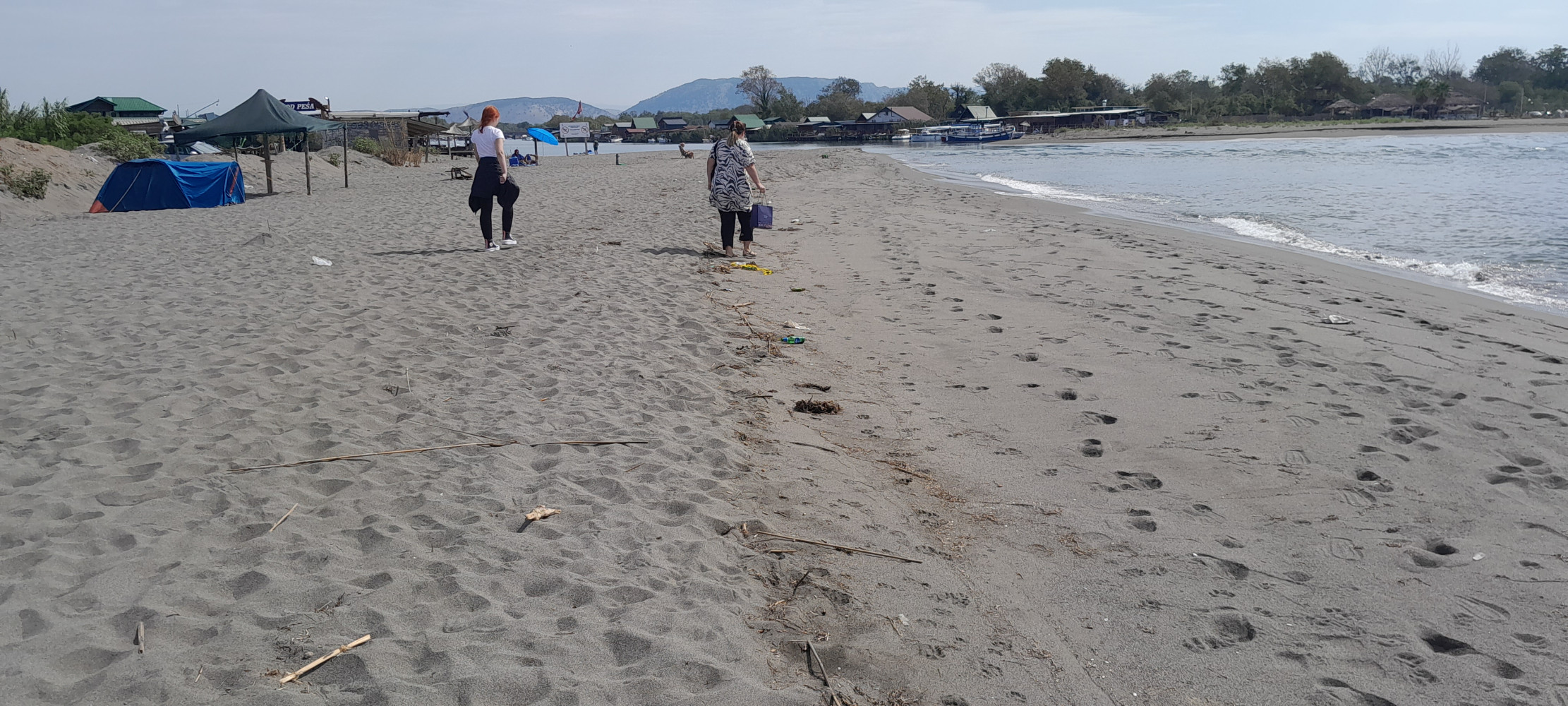 Univerzitet Crne Gore