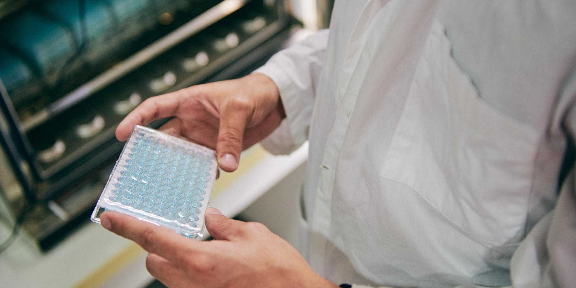 Univerzitet Crne Gore